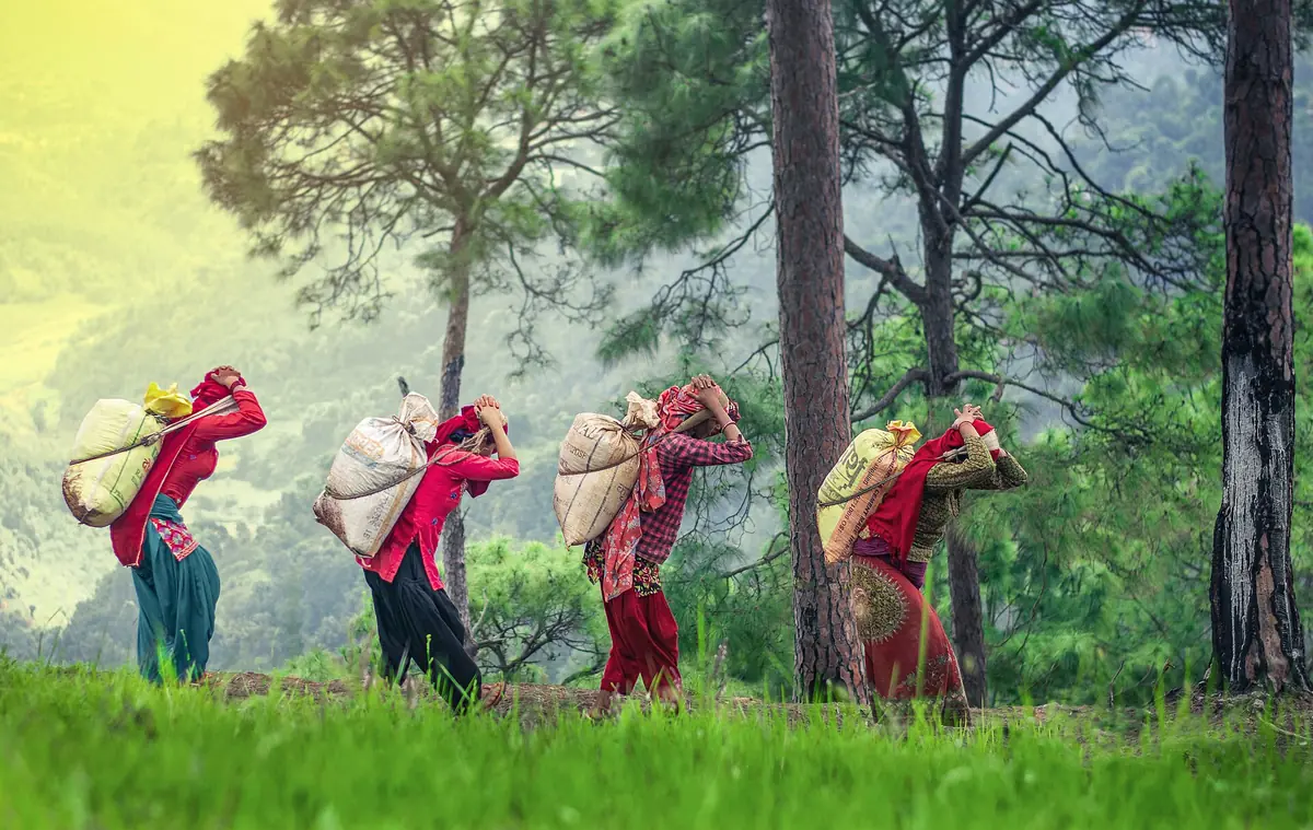 Women carrying mud to prepare a home for Dashain in Nepal